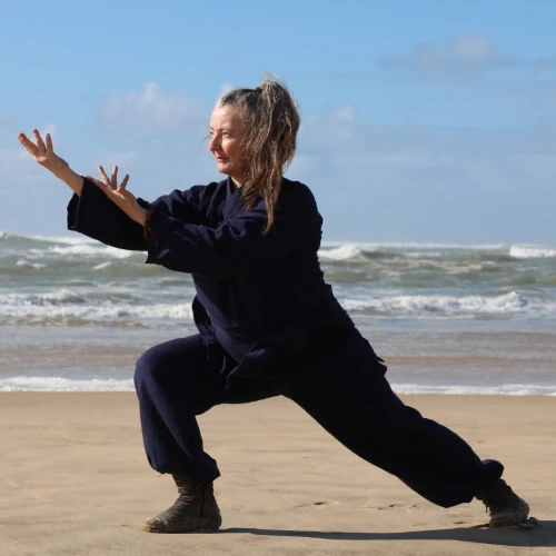 Wēi yí, intervenante du stage de Wudang Dandao Tai Ji Quan